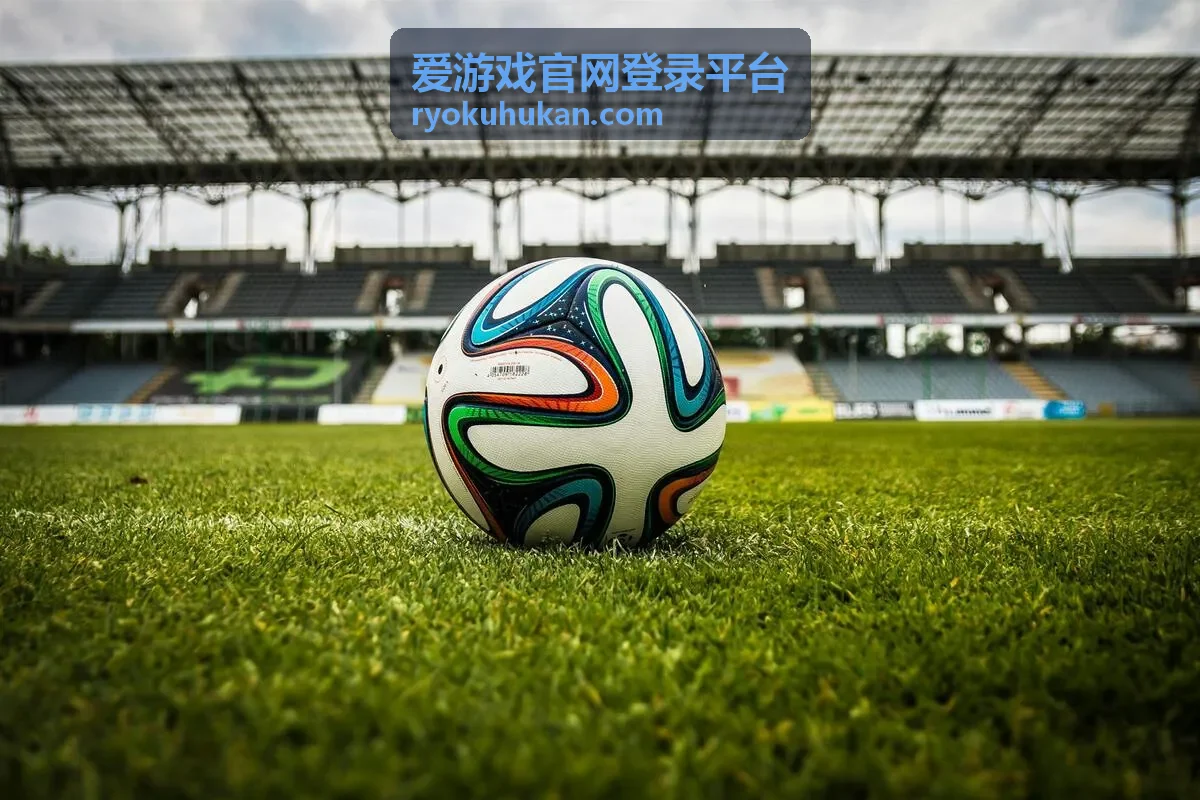 爱游戏官网登录平台隐私与消息提醒设置示意