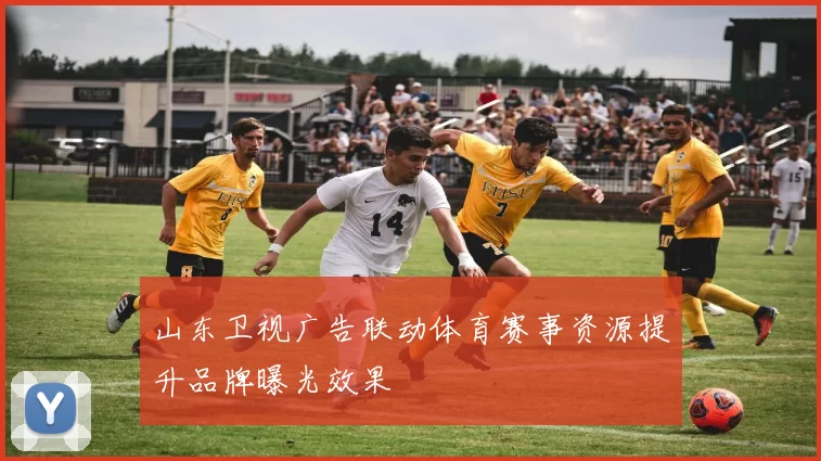 山东卫视广告联动体育赛事资源提升品牌曝光效果