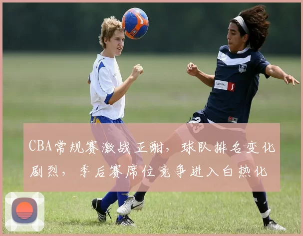 CBA常规赛激战正酣，球队排名变化剧烈，季后赛席位竞争进入白热化阶段