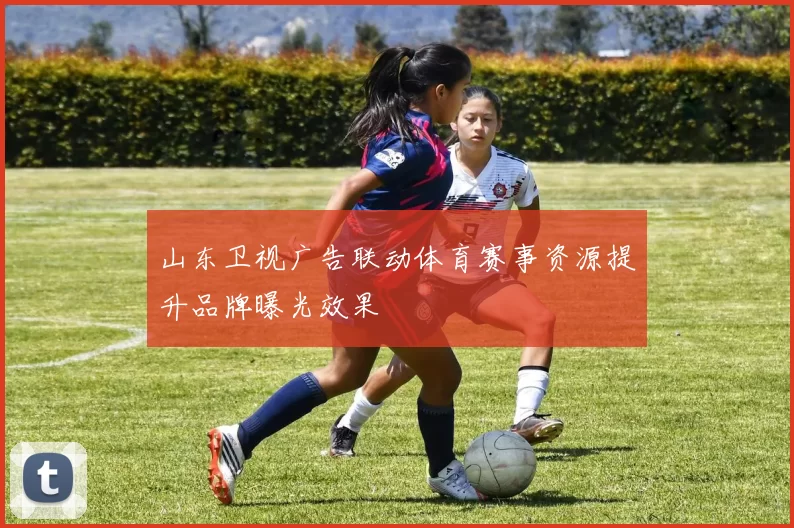 山东卫视广告联动体育赛事资源提升品牌曝光效果