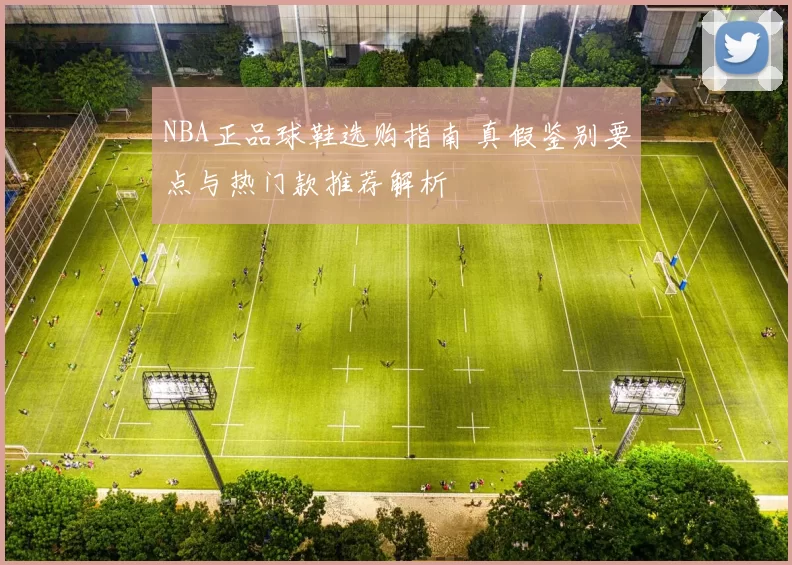 NBA正品球鞋选购指南 真假鉴别要点与热门款推荐解析