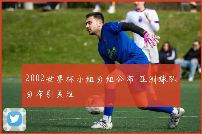 2002世界杯小组分组公布 亚洲球队分布引关注