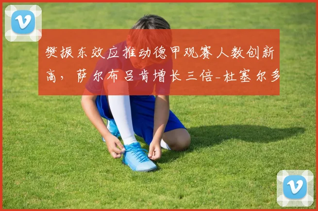 樊振东效应推动德甲观赛人数创新高，萨尔布吕肯增长三倍_杜塞尔多夫_本赛季_中国