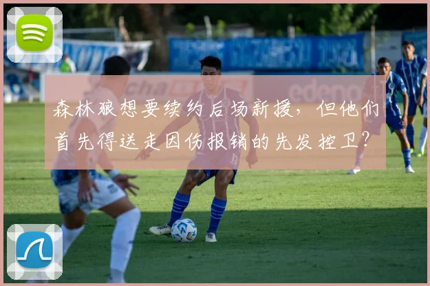森林狼想要续约后场新援，但他们首先得送走因伤报销的先发控卫？_季后赛_命中率_1