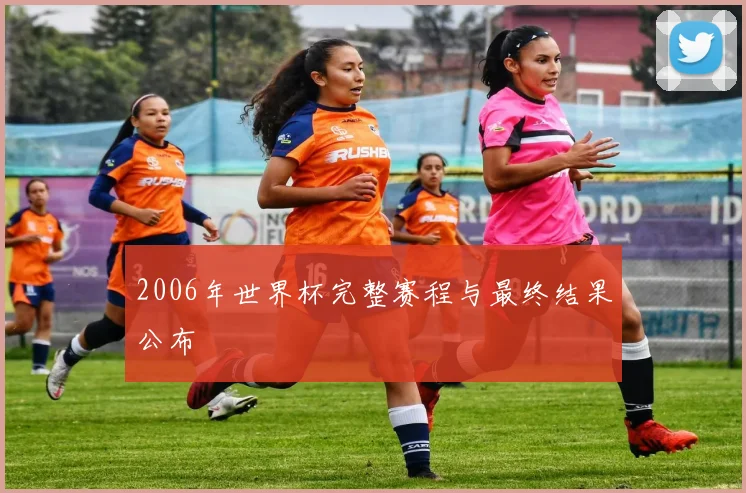 2006年世界杯完整赛程与最终结果公布