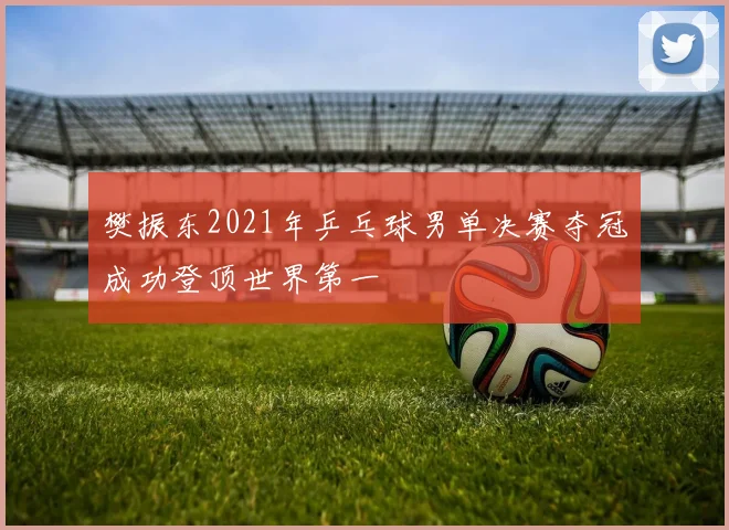 樊振东2021年乒乓球男单决赛夺冠成功登顶世界第一