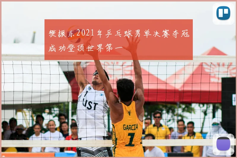 樊振东2021年乒乓球男单决赛夺冠成功登顶世界第一